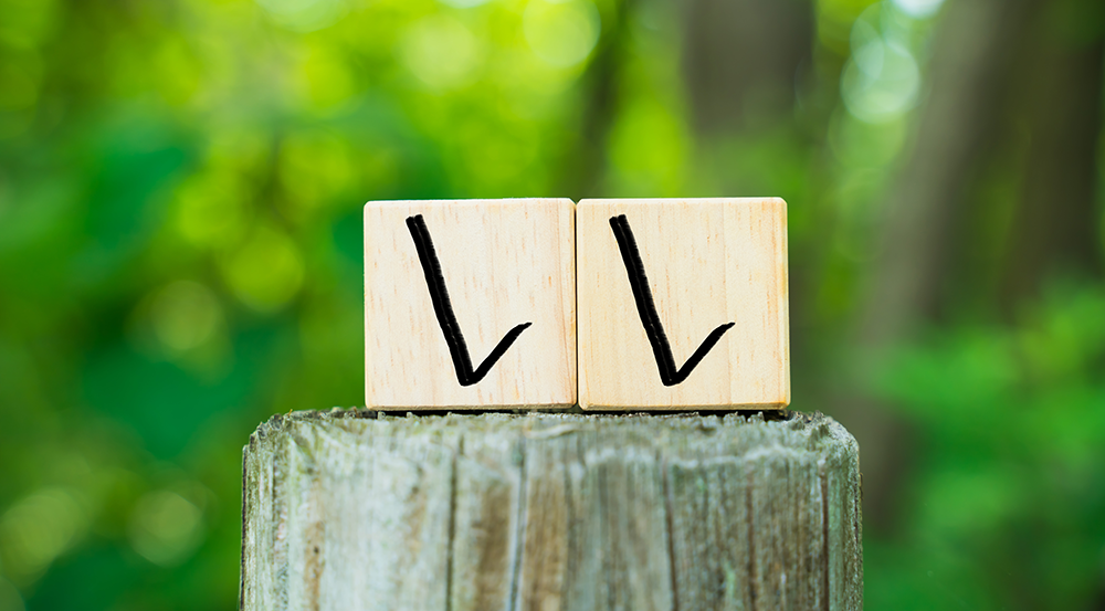 2つのチェックマーク